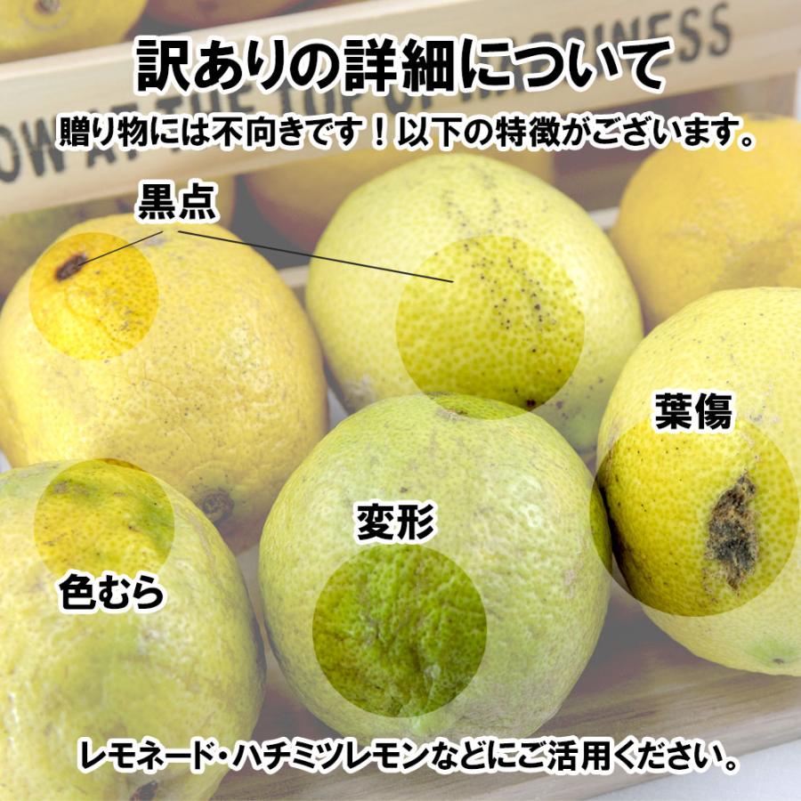 訳あり レモン サイズ不揃い 約2kg | 訳あり れもん レモン グリーンレモン イエローレモン 檸檬 国産 旬のフルーツ 愛媛県 松山市 2kg ¥5,000