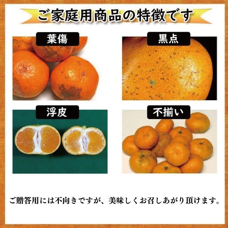 【順次発送中】訳あり ハウスみかん 約4kg | 柑橘 果物 くだもの フルーツ みかん ミカン 蜜柑 mikan mican 不揃い 傷 ワケアリ 訳アリ 愛媛県 松山市 約4kg
