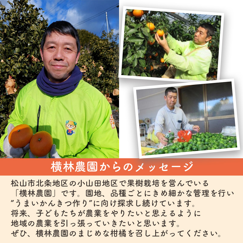 【先行予約】媛小春 2.5kg 家庭用 | 媛小春 ひめこはる みかん 希少柑橘 農家直送 愛媛 松山 フルーツ 果物 くだもの 2.5キロ 数量限定 期間限定 送料無料 柑橘 みかん フルーツ 果物