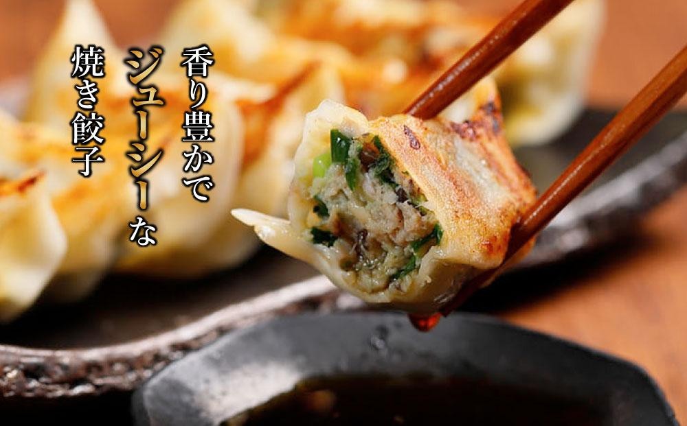 【 ミシュランガイド掲載 】 焼き餃子 定期便 30個×3回(タレ・作り方付き) | 焼き餃子 餃子 定期便 ギョーザ 定期便 餃子 ギョーザ 定期便 点心 中華 餃子 ギョーザ 定期便 餃子 ギョーザ 点心 中華 点心 中華料理 愛媛 松山市 松山おすすめ 定期便