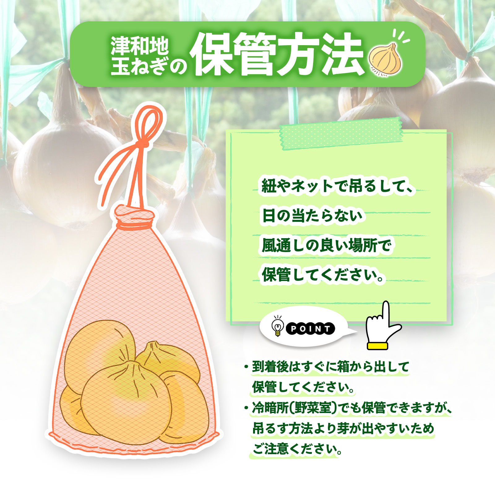 【先行予約】 津和地新玉ねぎ 8kg【津和地ブランド玉ねぎ】愛媛 松山 ブランド玉ねぎ 津和地島産 野菜 農家直送 期間限定 たまねぎ ドレッシング スープ ハンバーグ サラダ 人気 おすすめ 8kg