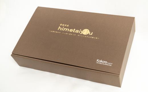 本格かんきつジュレ「いちずみ」＜せとか＞ ８個入り【化粧箱入り】