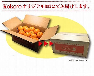【先行予約】【2026年2月上旬から発送】不知火(しらぬい)＜家庭用・優品＞約5kg