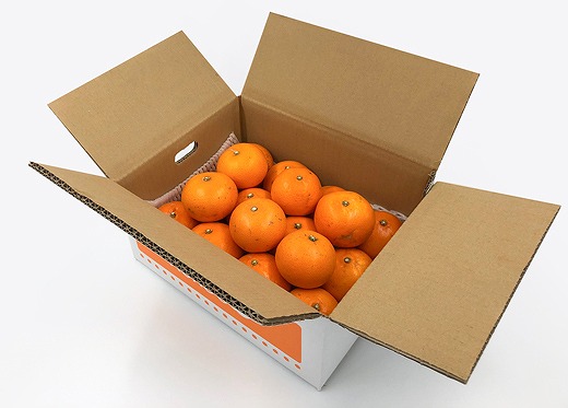 愛果28号 (紅まどんな と同品種) 小玉 約3kg 【2025年11月中旬から発送予定】 |  愛媛産 愛媛県産 国産 愛媛みかん 愛媛蜜柑 愛媛ミカン みかん ミカン mikan 蜜柑 柑橘 フルーツ 果物 くだもの お取り寄せ 産地直送 数量限定 人気 おすすめ 愛媛県 松山市 送料無料