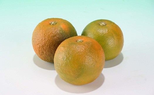 だいだい果汁 150ml×6本 希望の島