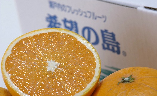 サマー清見 4kg 【2026年4月上旬から発送予定】  愛媛 中島産 愛媛県産 みかん 柑橘 希望の島