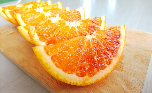 ブラッドオレンジ（タロッコ） 3kg 【2026年3月中旬から発送予定】 柑橘 みかん ミカン 愛媛 中島産 希望の島