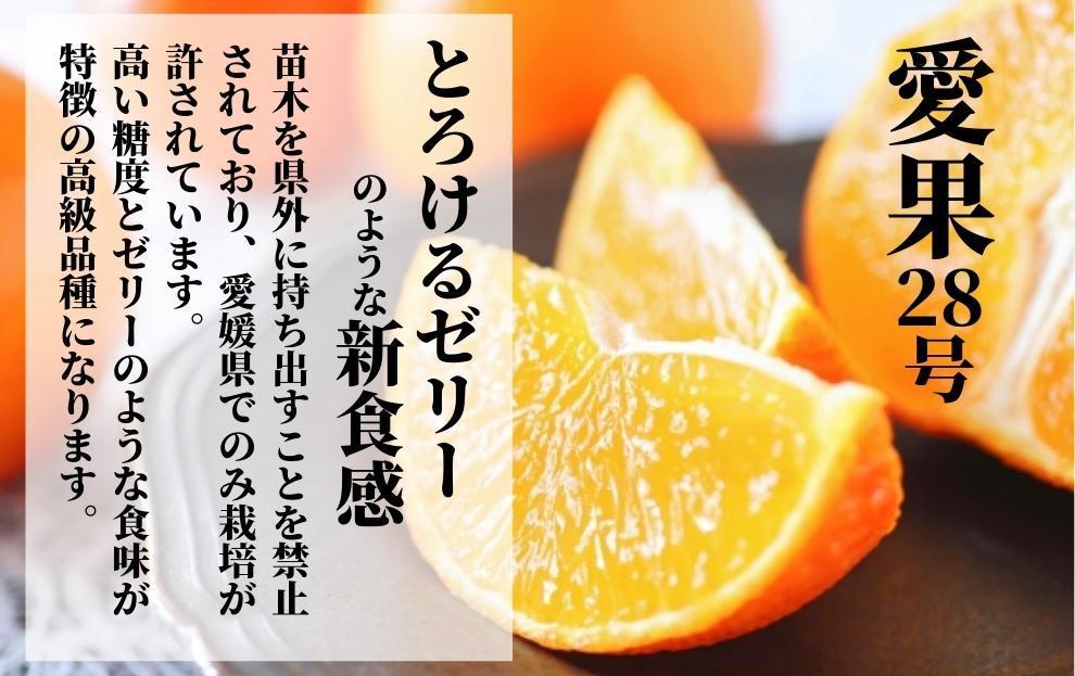【早期予約受付中！2025年12月～順次発送】二種のみかん食べ比べ箱 愛果28号・はれひめ(家庭用)約 2.8kg 2.8kg