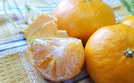 【2026年2月中旬から発送】ジャンボ甘平 特大（6L以上） 約1kg（2玉）【2月中旬から発送予定】 化粧箱入 愛媛県産 柑橘 みかん 希望の島