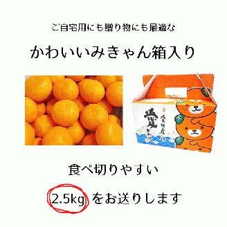 【2025年12月下旬頃から順次発送】はれひめ 約2.5kg みきゃん箱入 愛媛県産 柑橘 みかん 贈答 可愛い 愛媛県 松山市