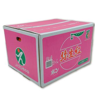 愛媛県産 伊予柑（弥生紅） L～2Lサイズ 10kg 愛媛県 松山市