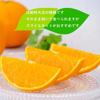 【 先行予約 】せとか 約 3kg (9~13玉) 秀品 3月配送 愛媛 松山市 柑橘 高級 糖度