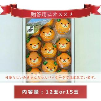 【先行予約】 カラマンダリン 愛媛県産 みきゃん箱 12玉 or 15玉 柑橘 みかん 贈答 可愛い 愛媛県 松山市