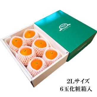 あいか 愛果48号 約 1.5kg 6玉 【2026年3月下旬から発送予定】 特選品 期間限定 愛媛県産 みかん 柑橘 希望の島