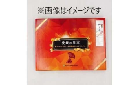 紅まどんなゼリー食べ比べセット
