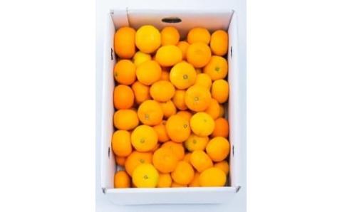 【先行予約】 8月下旬から発送 ハウスみかん 2SからSサイズ 5kg （愛媛県産 みかん 蜜柑 オレンジ 柑橘 果物 フルーツ 家庭用 お取り寄せ おすすめ 愛媛県 松山市 ） 5kg