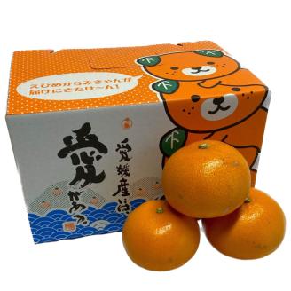 【2月下旬頃より発送】 先行予約 せとか 約 2.5kg 家庭用 みかん 柑橘 果物 フルーツ 松山市 愛媛県