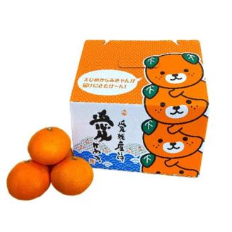 【先行予約12月上旬頃より発送】 愛果28号 約2.5kg 家庭用 | 12月発送 紅まどんな と同様 みかん 柑橘 愛果28号 あいか 果物 フルーツ 松山市 愛媛県 田村農園 柑橘 くだもの フルーツ おすすめ 高級 人気 お取り寄せ グルメ ギフト 期間限定 数量限定 愛媛県 松山市