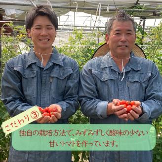【2024年11月から発送】日高農園水耕栽培のミニトマト3kg