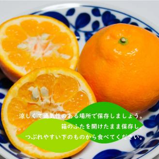 【2026年1月下旬ごろ順次発送】 伊予柑 いよかん 約 10kg 愛媛 興居島 柑橘 糖度 別名 宮内伊予柑