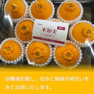 不知火（しらぬい）約5kg  ご贈答用 【2月下旬から順次発送】デコポンと同品種 贈答用5kg