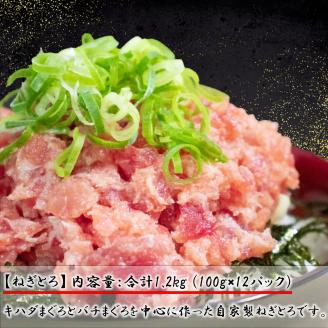 【定期便】松山海鮮セット 鯛の漬け丼 しらす ねぎとろ 愛媛県 松山市 海鮮 魚介 新鮮ねぎとろ,まぐろ,ねぎとろ