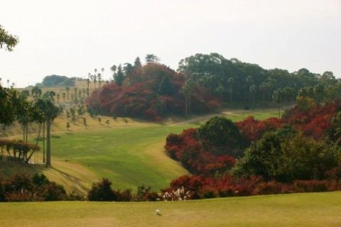 ゴルフ 【土日祝日】奥道後ゴルフクラブゴルフプレー無料券（1名分）イベント 体験 ゴルフ アウトドア スポーツ 愛媛県松山市 愛媛県 松山市 愛媛 松山 常温 常温便 常温配送 常温発送