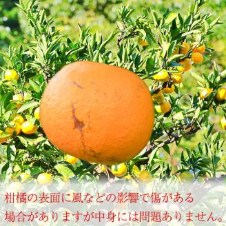 【2025年3月から発送】不知火 しらぬい （デコポンと同品種） 3kg  良品