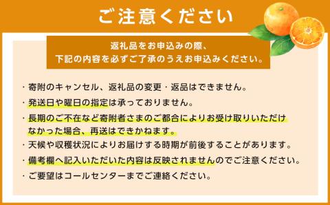 秀～優品 約2.8kg ＜2026年2月～3月頃発送＞