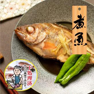 【嶋矢水産】 瀬戸内の鮮魚 直送便 下処理済み 産地直送 10000円 台 二人前 刺身 煮魚 焼き魚 瀬戸内海 愛媛 松山 老舗 魚 人気