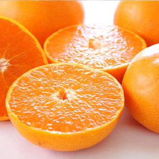 【2月中旬から発送】 せとか ＜ 秀品 ＞ 約3kg 贈答用高級化粧箱入り | みかん せとか 柑橘 みかん 3kg 化粧箱入り 贈答 おすすめ