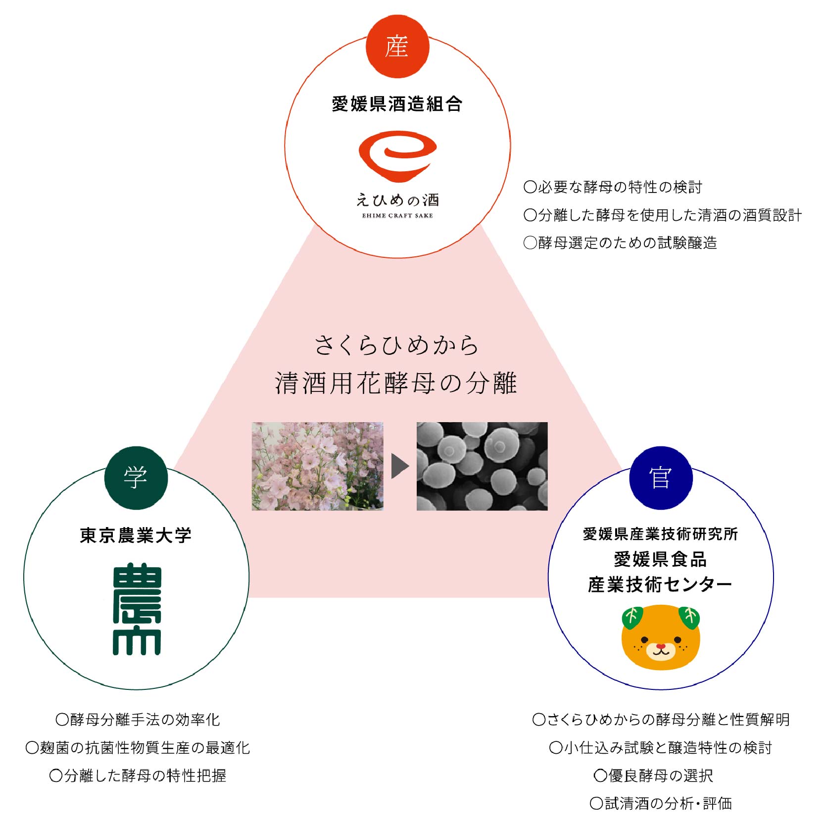 純米吟醸酒 風の里 Sakura hime 養老酒造株式会社