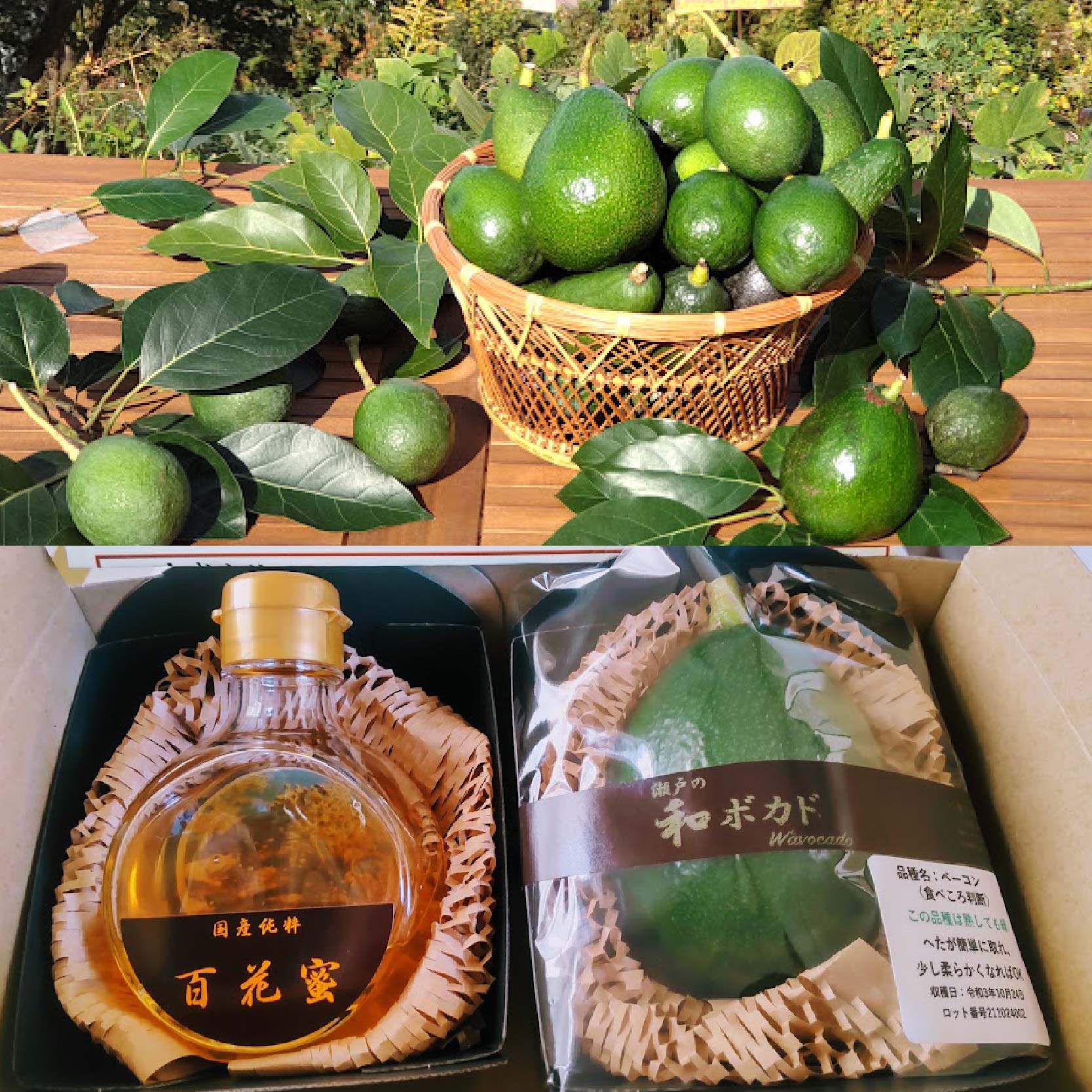 国産有機アボカドと蜂蜜セット