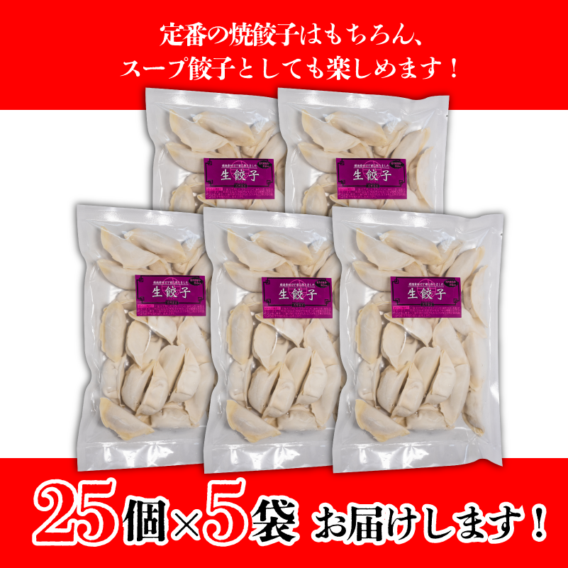 あさの生餃子 【25個入×5パック 計125個】 冷凍餃子 国産豚肉 生餃子