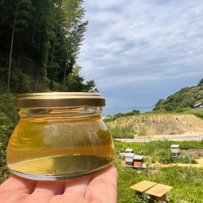 BeeCampはちみつ味わいセット 2瓶セット(140gx2瓶) | はちみつ ハチミツ 国産 非加熱 純粋 生はちみつ 百花蜜