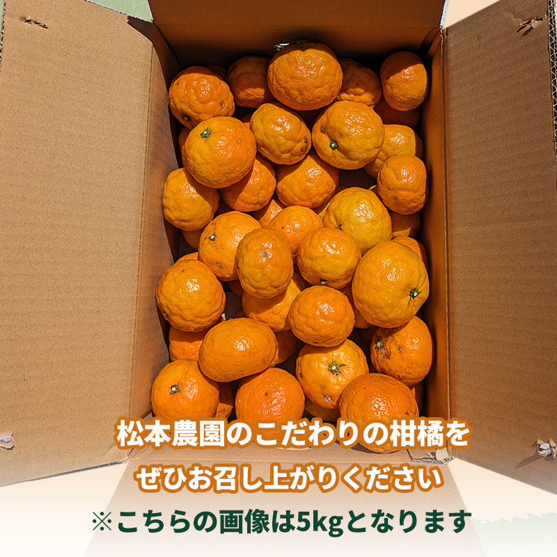 【5月から発送】春 みかん カラマンダリン 家庭用 2.5kg｜みかん 蜜柑 旬 わけあり 訳あり 甘い 柑橘 果物 フルーツ 糖度 愛媛 松山 2.5kg