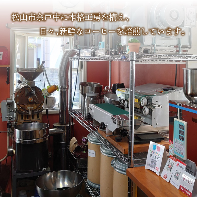 コーヒー 定期便 200g × 6回 【 豆 】 (坊っちゃん珈琲深煎りマンデリン) 自家焙煎 コーヒー 坊っちゃん珈琲 新鮮 愛媛県 松山市