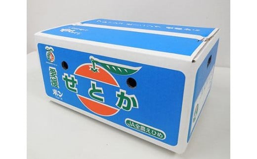 【先行受付】 JAえひめ中央 ★300セット限定★ JA特選品 せとか5kg 赤秀・青秀 いずれかL～3L