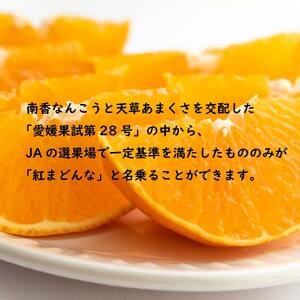 【先行受付】JA特選品 紅まどんな（青秀L～3L 約3kg）