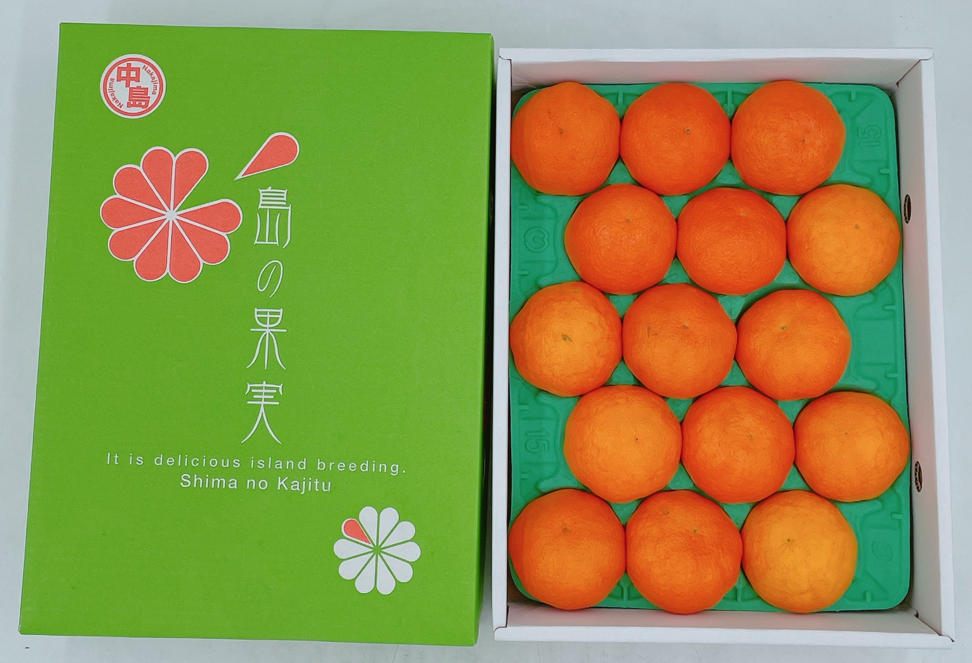 【発送は1月下旬から】 松山市中島産 甘平 L～3Lサイズ