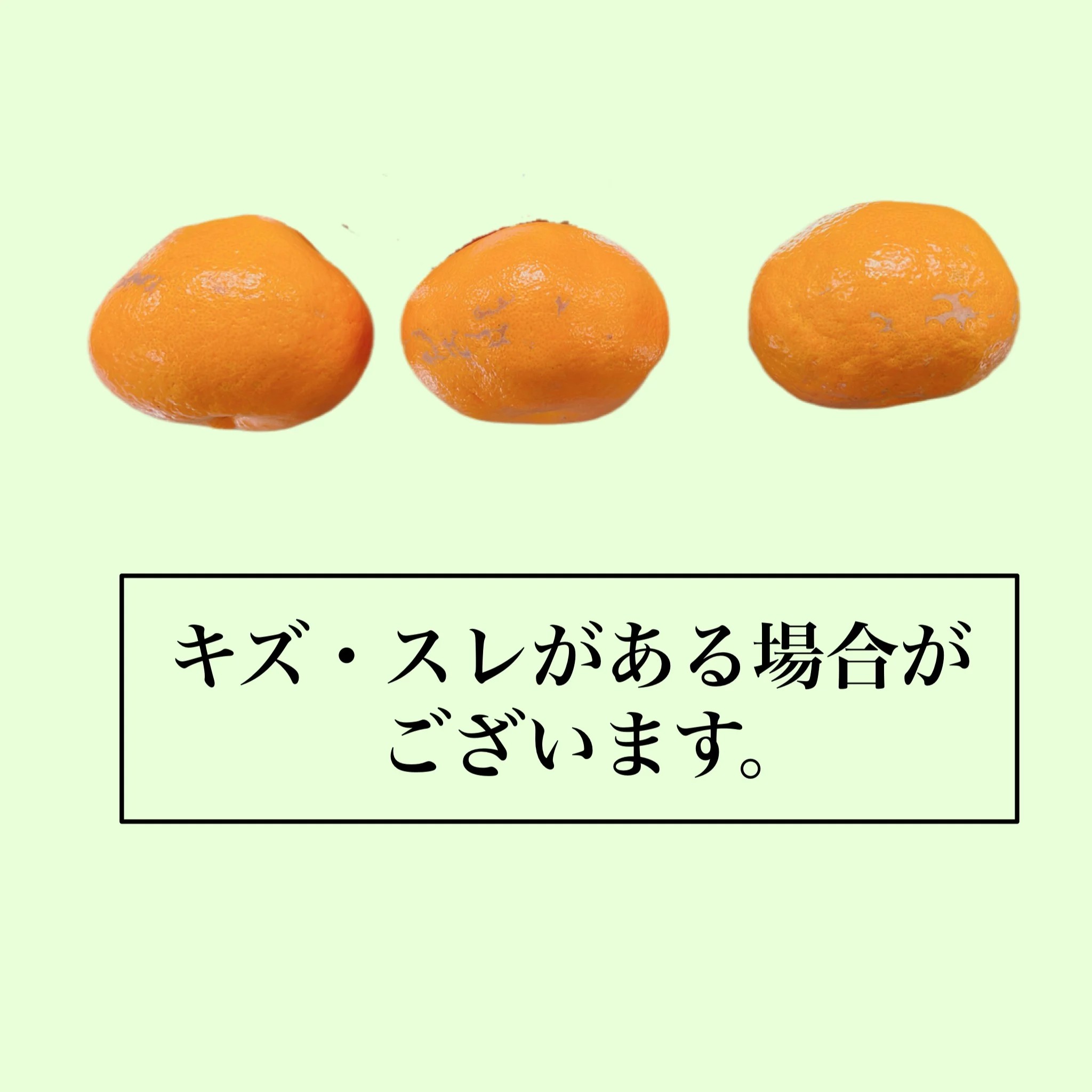 【順次発送中】松山市中島産 はるみ S～Lサイズ （約2.5kg）