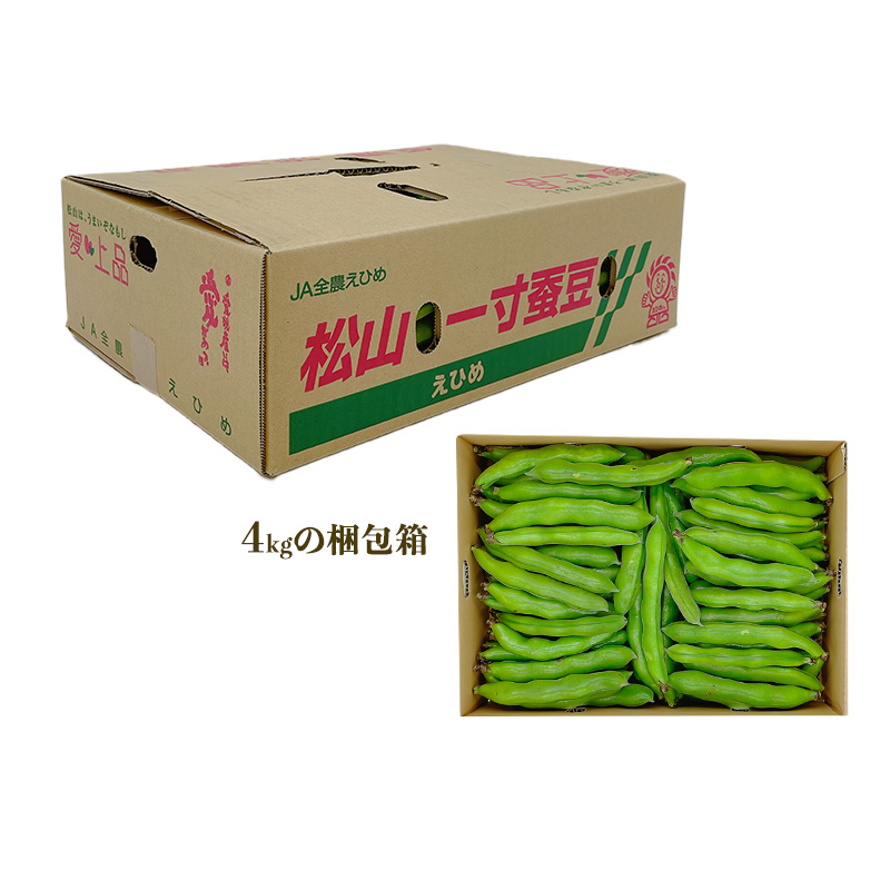 【先行予約】【4月下旬から発送】 ＜松山ブランド＞松山一寸そらまめ 4kg （ 春野菜 ソラマメ そら豆 空豆 産地直送 期間限定 愛媛 松山 フジ・アクリフーズ ） 4kg