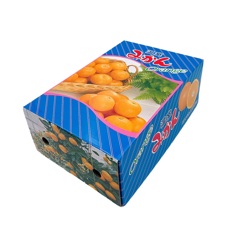 【先行予約】 8月下旬から発送 ハウスみかん 2SからSサイズ 1.0kg （愛媛県産 みかん 蜜柑 オレンジ 柑橘 果物 フルーツ 家庭用 お取り寄せ おすすめ 愛媛県 松山市 ） 1kg