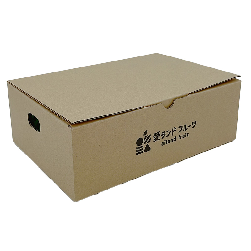 【発送は1月下旬から】 松山市中島産 甘平 秀品　5～6個入り