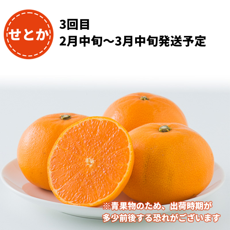 柑橘4品種お届け！満喫セット 3回 定期便 （ 紅まどんな / 甘平 / せとか ）