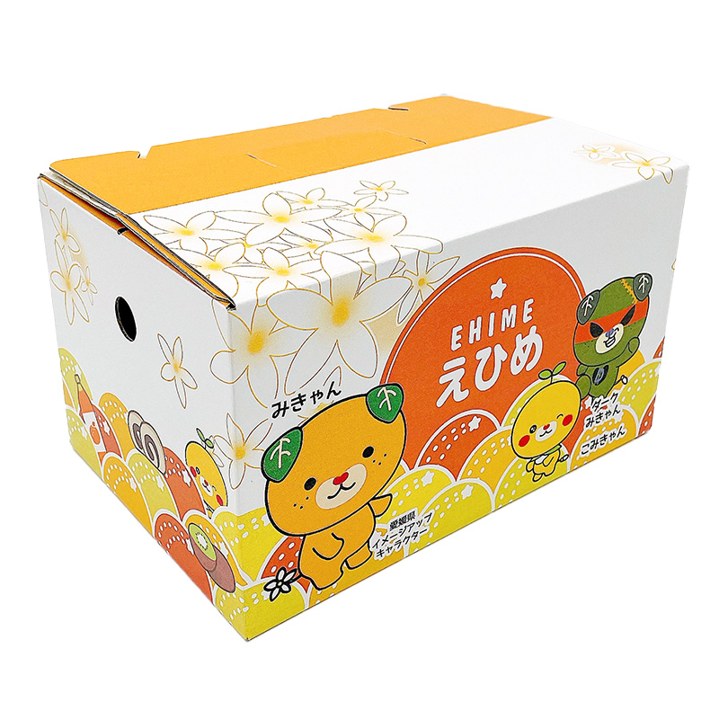 ★発送は4月下旬～★ カラマンダリン 2.5kg（MからLサイズ） 2.5kg