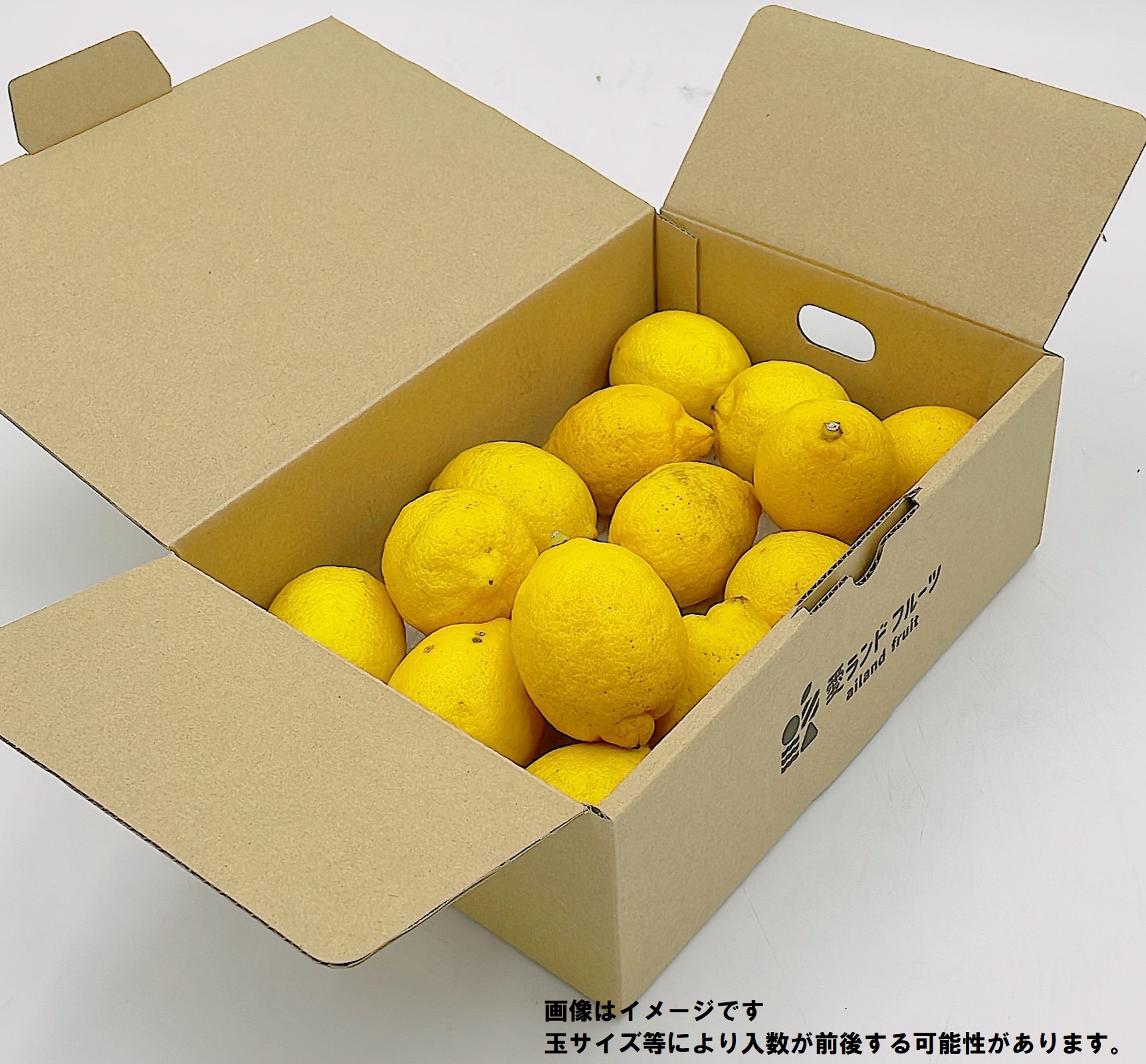 【11月上旬より発送】中島産 レモン M から L サイズ 約1.5kg