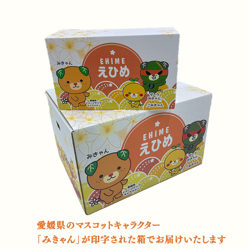 【1月下旬から発送】 【松山市ふるさとセット】 伊予柑 甘平 せとか レモン 柑橘満喫セット（ 愛媛みかん 愛媛ミカン みかん ミカン mikan 蜜柑 フルーツ 果物 くだもの お取り寄せ 産地直送 数量限定 人気 おすすめ 愛媛 松山 フジ・アグリフーズ）