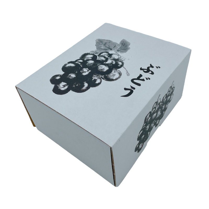 【先行予約】★8月下旬から発送★ 松山市産 シャインマスカット 1房 ピオーネ 1房のセット 計900g ぶどう 葡萄 フルーツ 果物 産地直送  期間限定 先行予約 くだもの ぶどう 葡萄 ブドウ 大粒 おすすめ 人気 旬 フルーツ