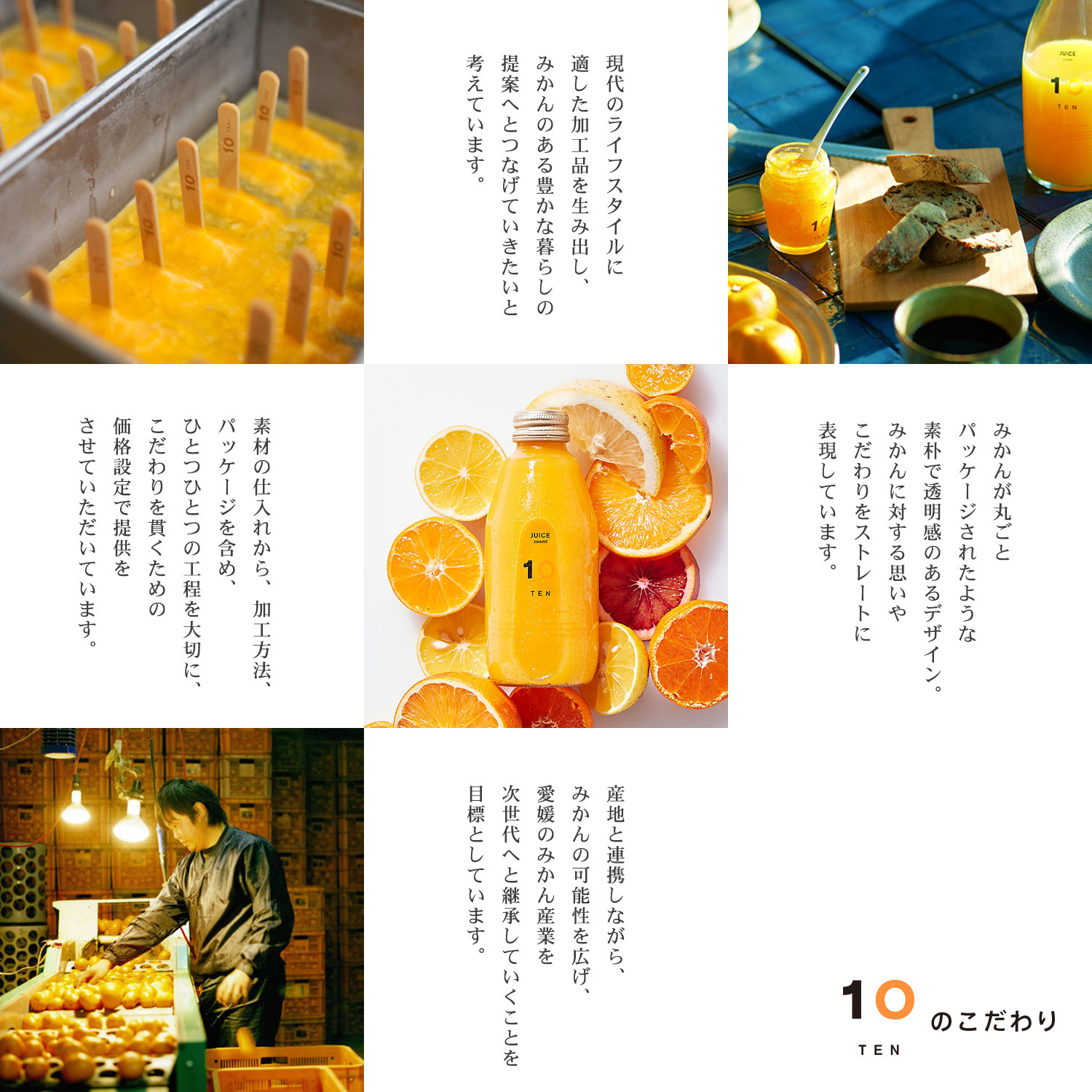 【ジュース10本ハンディゼリー14個】愛媛みかん 果汁100% ストレートジュースとゼリーのギフトセット ジュース10本とゼリー14個